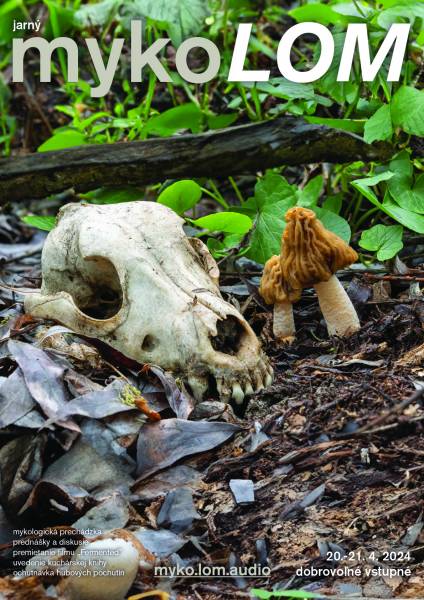 mykolom_2024_jar mykolom_2024_jar